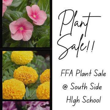  Plant Sale Flyer // full text in body